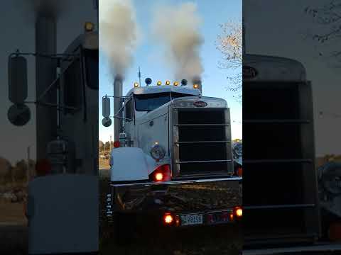 Thumbnail for 351 peterbilt evil 😈 cold start!!!!💭💭💭💭🔥 by Peterbilt