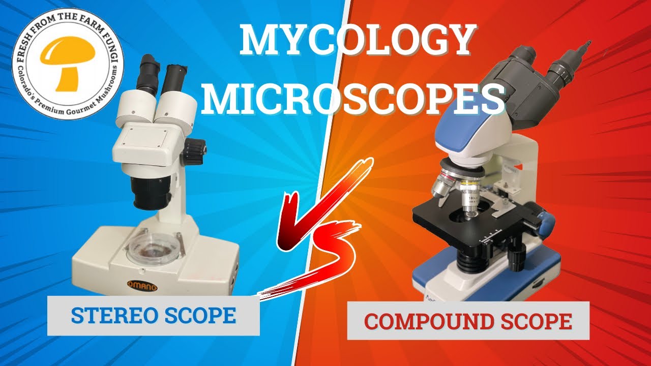 How is the range of magnification difference between the compound