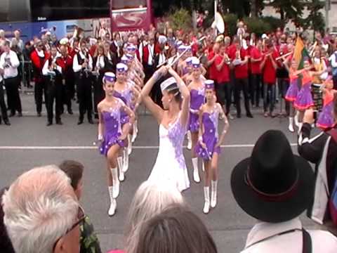 Vejvodova Zbraslav 2015 - Zbraslavská