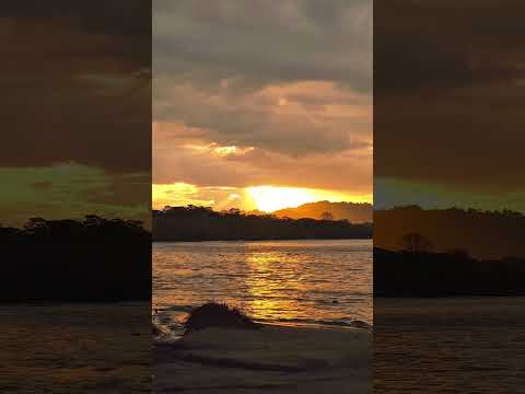 Puerto viejo limón Talamanca y sus  Paisajes son hermosos 🌴🇨🇷❤️📷🌞 #naturaleza #wildlife #nature