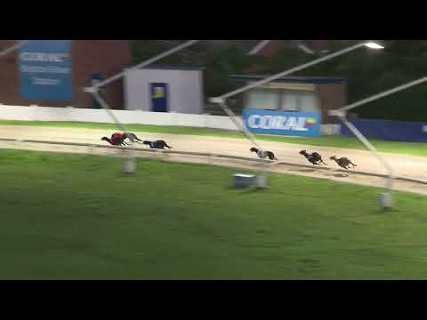 2021 REGENCY - HEAT6 - T5 COLD AS ICE