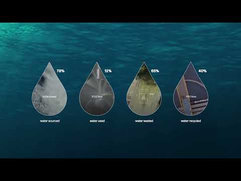 The Water Sustainability score