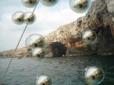 IL PESCIOLINO D'ORO by Marco Venneri