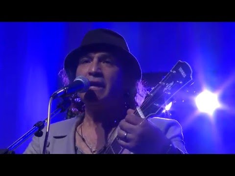 Sangre morena guajira