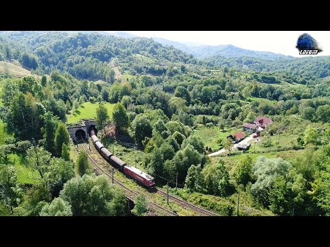 🚊🚁 LEMA 480 016-1 & Tren de Marfă CEF FERSPED Freight Train in Bănița - 03 September 2019