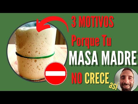 👉 3 REASONS Why Your SOURDOUGH ISN'T GROWING (Like This)