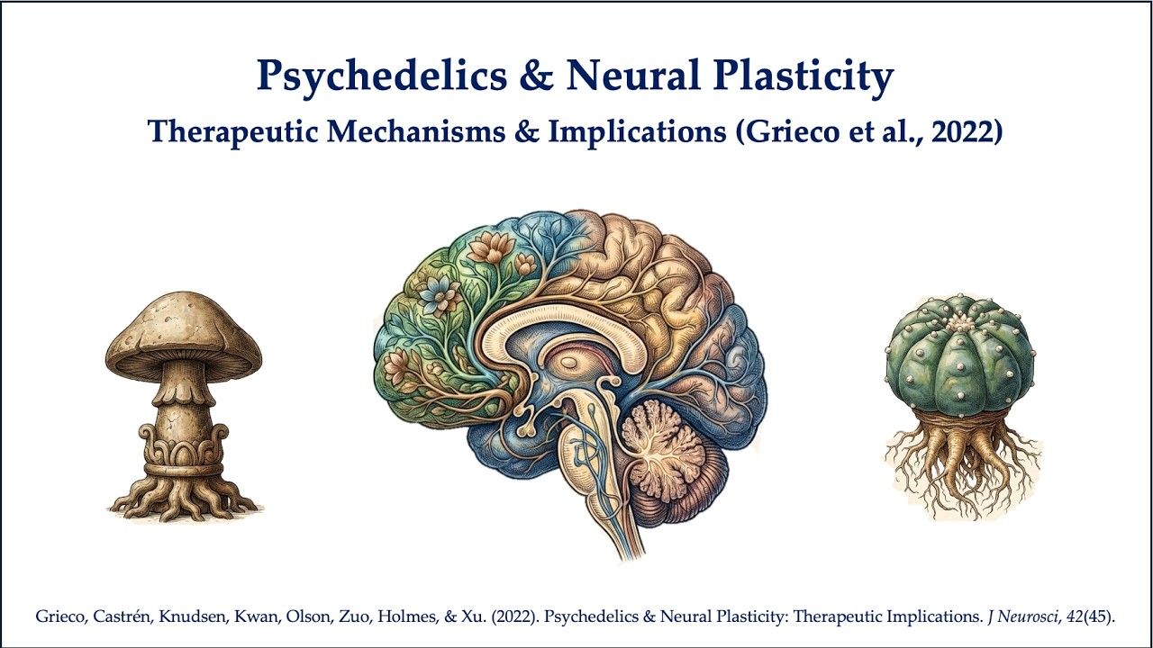 Psychedelics, Neural Plasticity, & Therapy (Grieco et al., 2022)