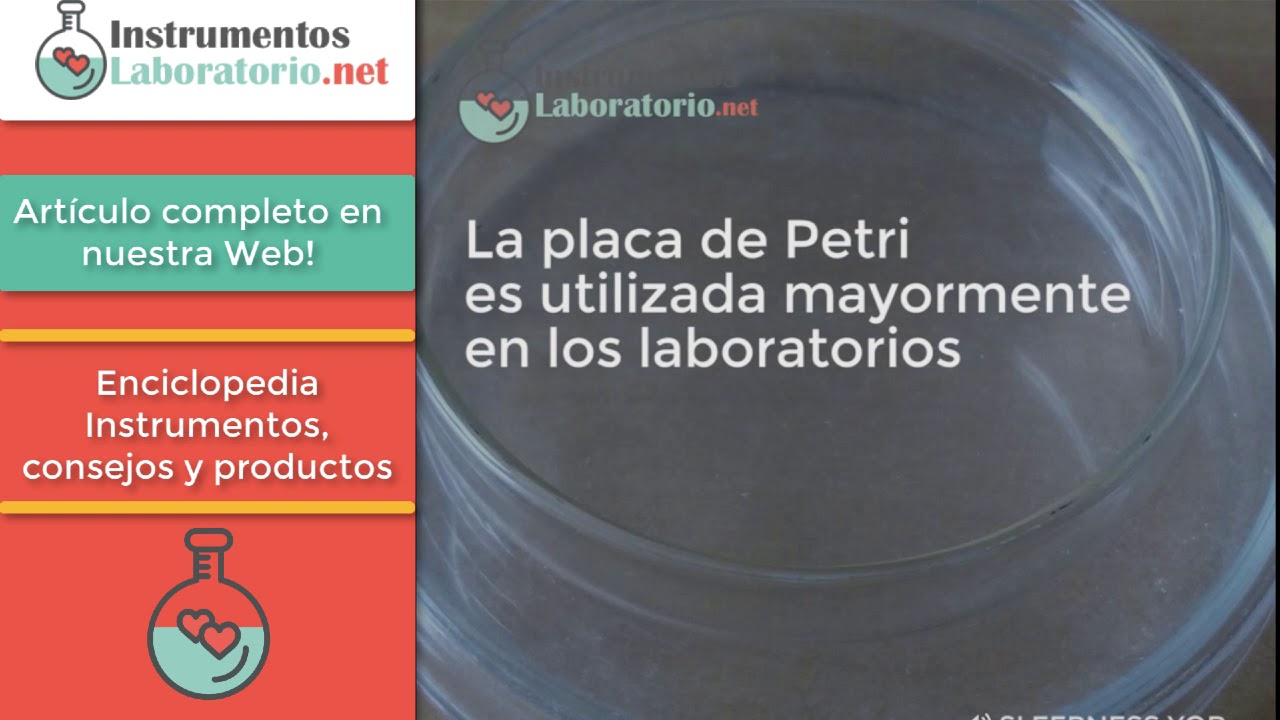 placa de petri o caja de petri