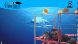 DIA 3 Expo Tiburon52