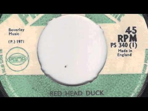 Lloyd Terrell(charmers) Red Head Duck