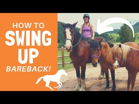 How to Swing Up On A Horse Bareback!