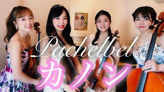 Download lagu パッヘルベル「カノン」弦楽四重奏 mp3 Download lagu パッヘルベル「カノン」弦楽四重奏 mp3
