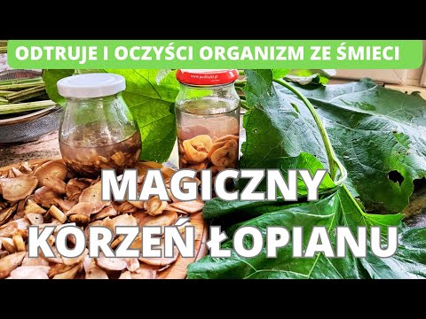 Łopian- magiczny korzeń łopianu. Odtruje i oczyści organizm ze śmieci.