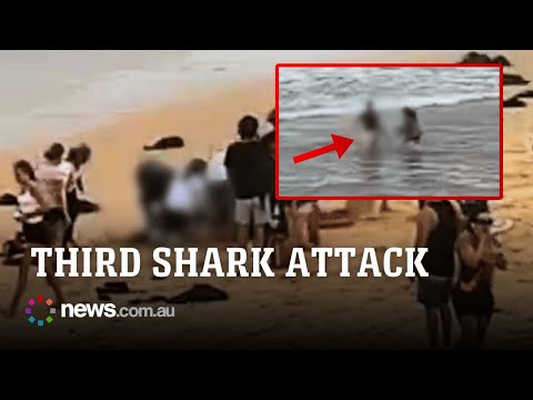 Man critical after third Sydney shark attack in 48 hours