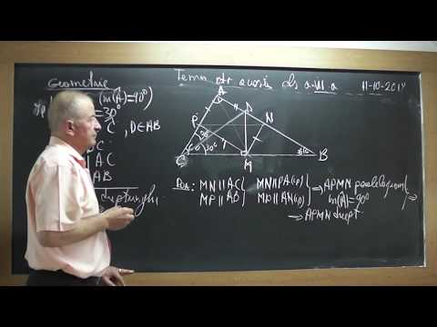 2/2 1748 Clasa 7 Triunghiul dreptunghic isoscel Paralelogramul Dreptunghiul Patratul Tema geometrie