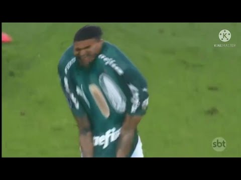 Gol de Dudu contra o Atlético-mg ( voz distorcida )