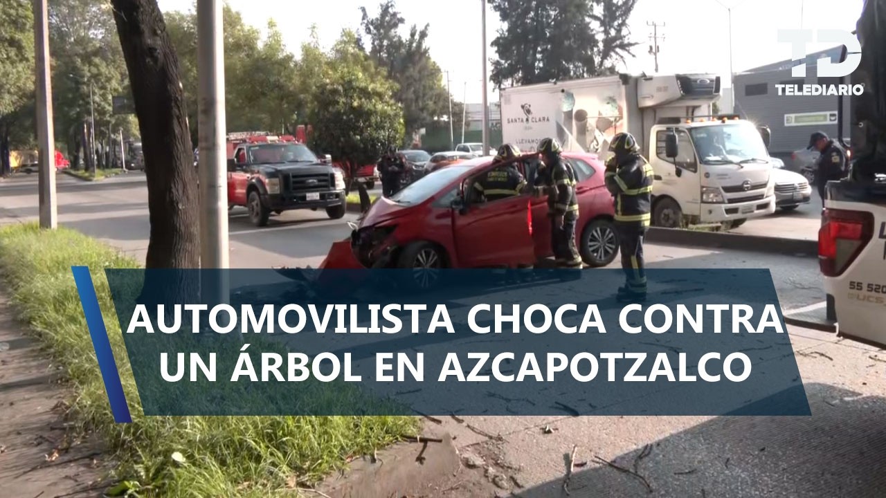 Hombre en aparente estado de ebriedad choca contra un árbol en Calzada Vallejo