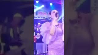 Download lagu Story WA New Pallapa Terbaru | Mengejar Badai - Tasya Rosmala mp3