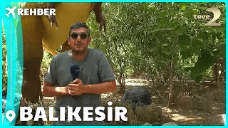 Rehber 282. Bölüm | BALIKESİR FULL BÖLÜM İZLE!