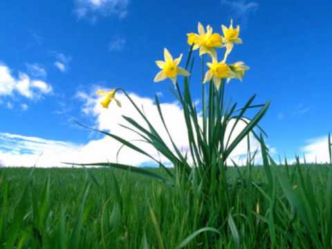 Raj-Raj Band - Kuppari