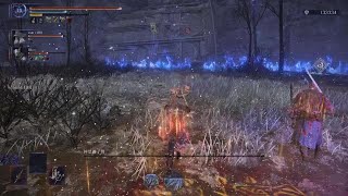 ELDEN RING NIGHTREIGN自分用見返し