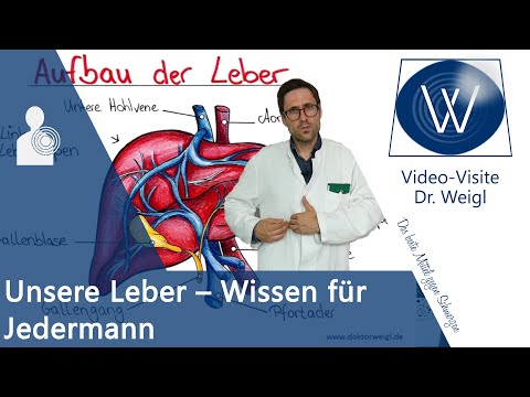 Unsere Leber - Gesünder leben durch Leber reinigen? Alles über Aufbau, Funktionen & Leberkrankheiten
