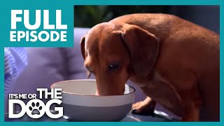 Thumbnail del capítulo