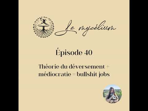 40 - Théorie du déversement + médiocratie = bullshit jobs
