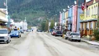 preview picture of video 'A  friendly fox in Dawson City, Yukon - August 2013'