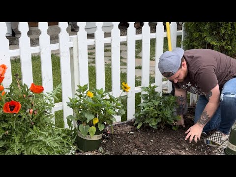 Front Garden Bed Makeover! Can’t Believe We Got it Done! 🌻 || Visit Our Garden