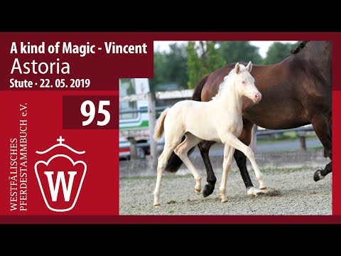 95 Astoria Stute v. A kind of Magic - Vincent