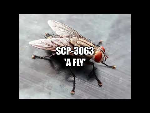 SCP-3063