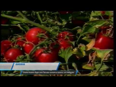 ANDRIA UOMO MUORE DOPO AVER BEVUTO SOSTANZA TOSSICA   TELEREGIONE 23 09 2016