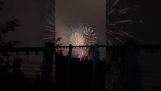 花火大会参加 #猫動画かわいい #cat #ねこ #花火大会