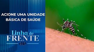 Dengue: Eliminar focos é a única saída para vencer a doença