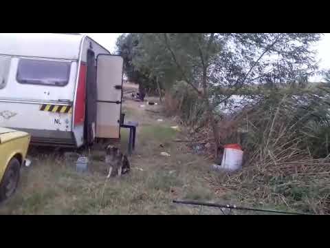 Danesti 7 , 30.09.2018