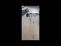 Dog Loud Yawn Compilation