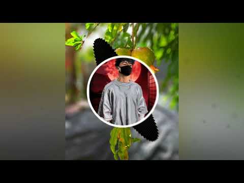 Shatta queen _-_ Lioness stacy .ft Mi guel (2k19)