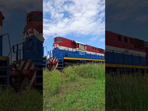 #parati #locomotive #power #railway #rail #youtubeshorts #shorts #train #60fps #railfan