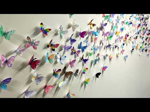 CSD pARTy 2023 IMAGINE Grant