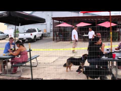 video:Dog Daze at The Hangar