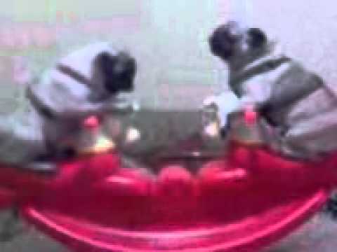 super pags from malta