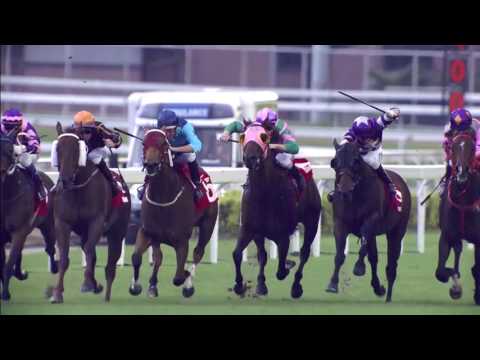 [HKIR 2016] Family pride at stake as Moore brothers do battle in Longines Hong Kong Sprint