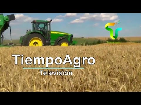 TiempoAgro TV - Manuel Lanusse en la 16º edición del remate de Toros de Micloin en Lobos.