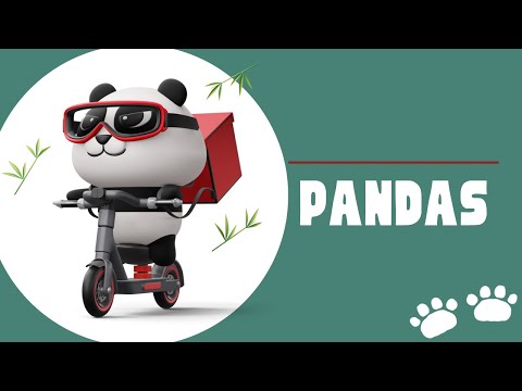 Pandas - Episode 1: The Start Of My Wild Animal Nature Series