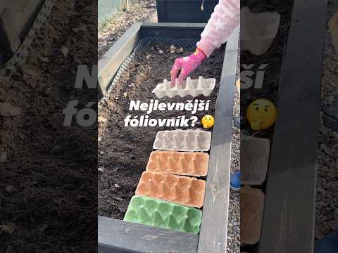Jak vyrobit nejlevnější fóliovník? 😅 Myslíte, že to bude fungovat? 🤔 #diy #foliovnik #zahrada