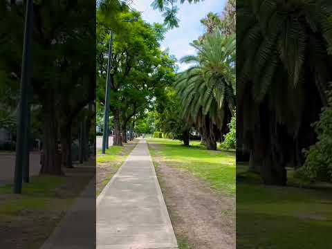 La verdad es que a veces no sé qué esperan para salir a caminar un poco por #saavedra #walking #tour