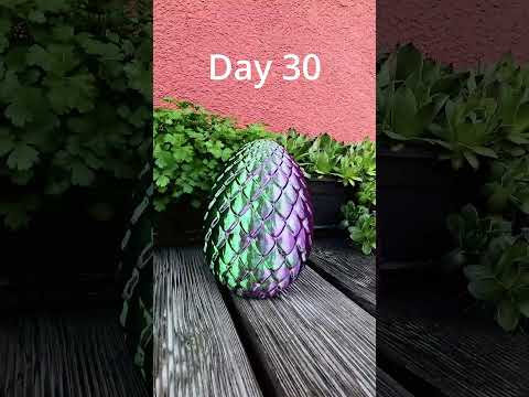 How to hatch a Dragon in 5 Steps 🐉 [3D-Printed]