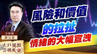 風險和價值的拉扯 情緒的大幅宣洩 (圖)