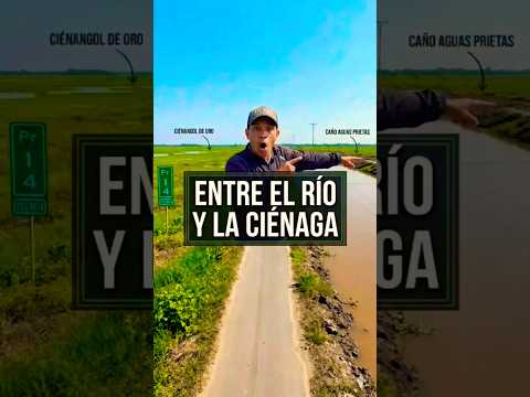​Entre el Caño y la Ciénaga: Así se viaja 🌊​ #deviajadaconprada #paseandoconprada